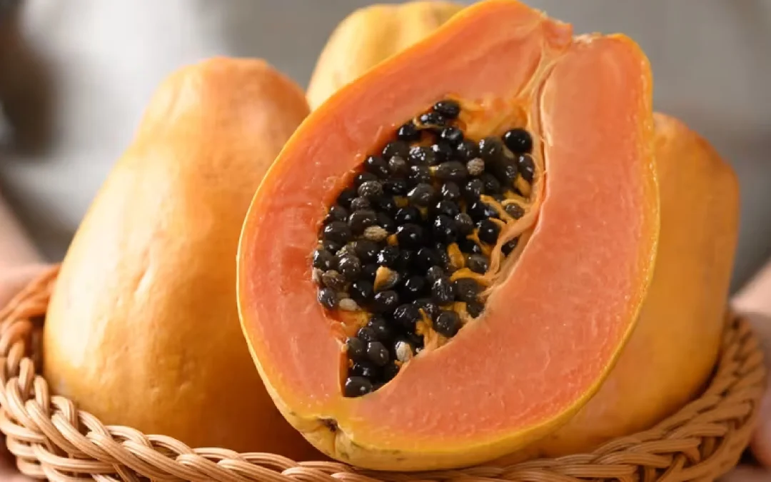 أنزيم البابايا وعلاقته في الصحة العامة